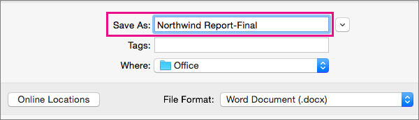 In the Save As box, enter or modify the file name for the current document.