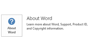 When Office has been installed by using Microsoft Installer technology, the Application and Update information looks like this.